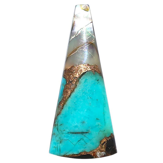 Shell In Black Blue Turquoise 11.5x26.2x3 mm Fancy Shape Polished Gemstone LS155-08503