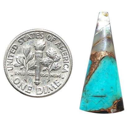 Shell In Black Blue Turquoise 11.5x26.2x3 mm Fancy Shape Polished Gemstone LS155-08503