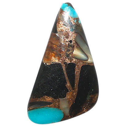Shell In Black Blue Turquoise 13.5x25.8x3.5 mm Fancy Shape Polished Gemstone LS155-08506