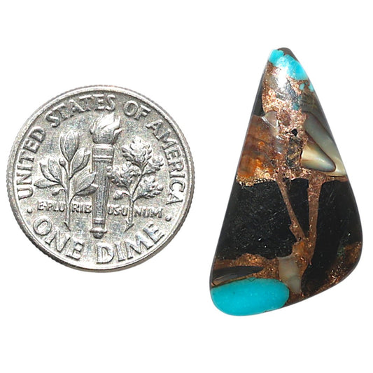 Shell In Black Blue Turquoise 13.5x25.8x3.5 mm Fancy Shape Polished Gemstone LS155-08506