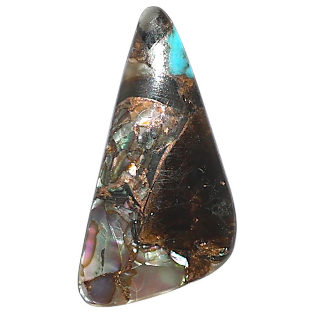 Shell In Black Blue Turquoise 12x24.35x3 mm Fancy Shape Polished Gemstone LS155-08507