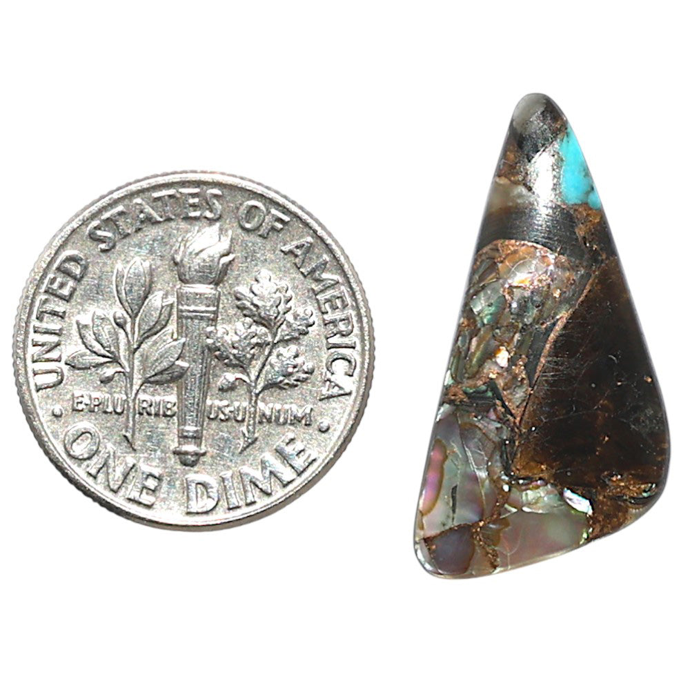 Shell In Black Blue Turquoise 12x24.35x3 mm Fancy Shape Polished Gemstone LS155-08507