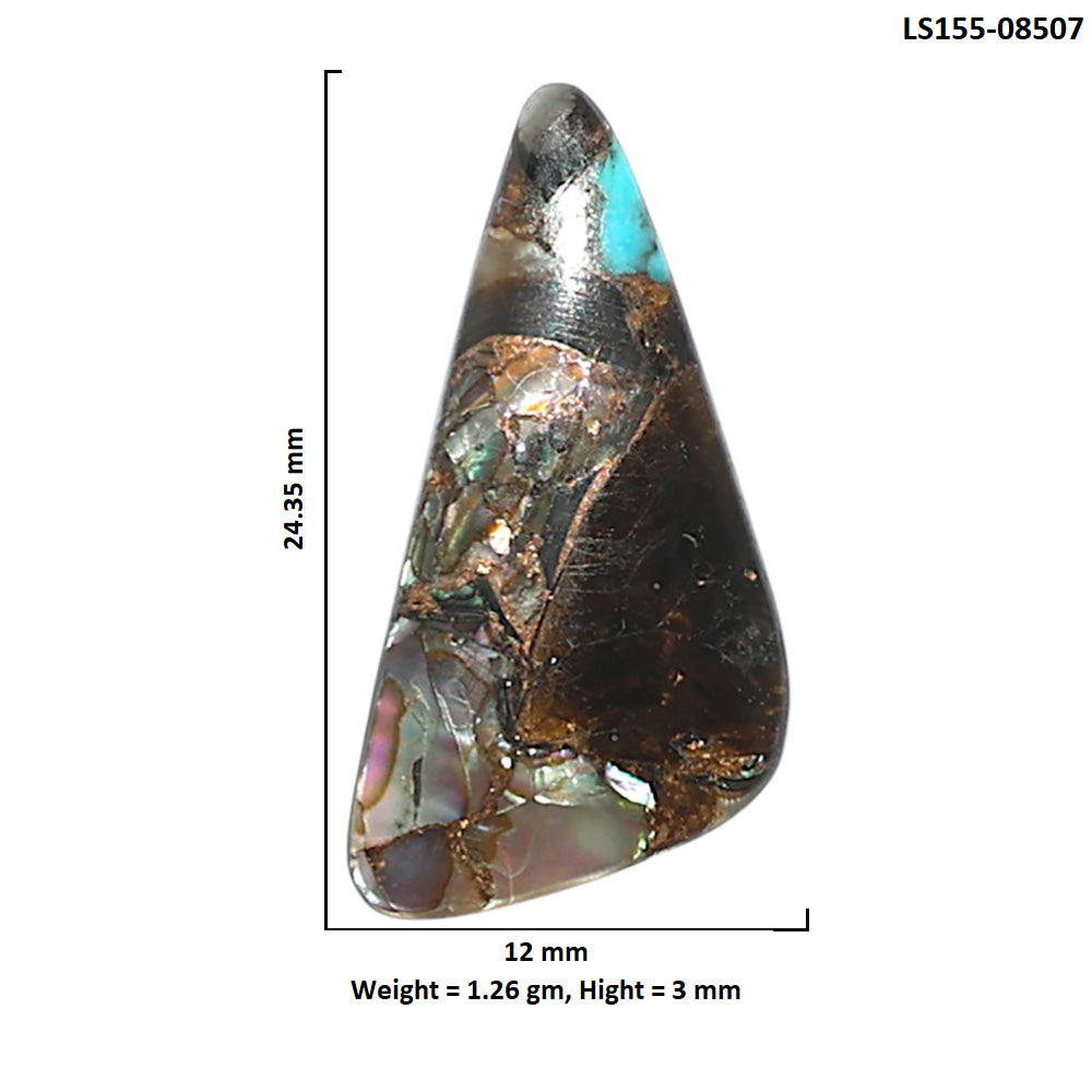 Shell In Black Blue Turquoise 12x24.35x3 mm Fancy Shape Polished Gemstone LS155-08507