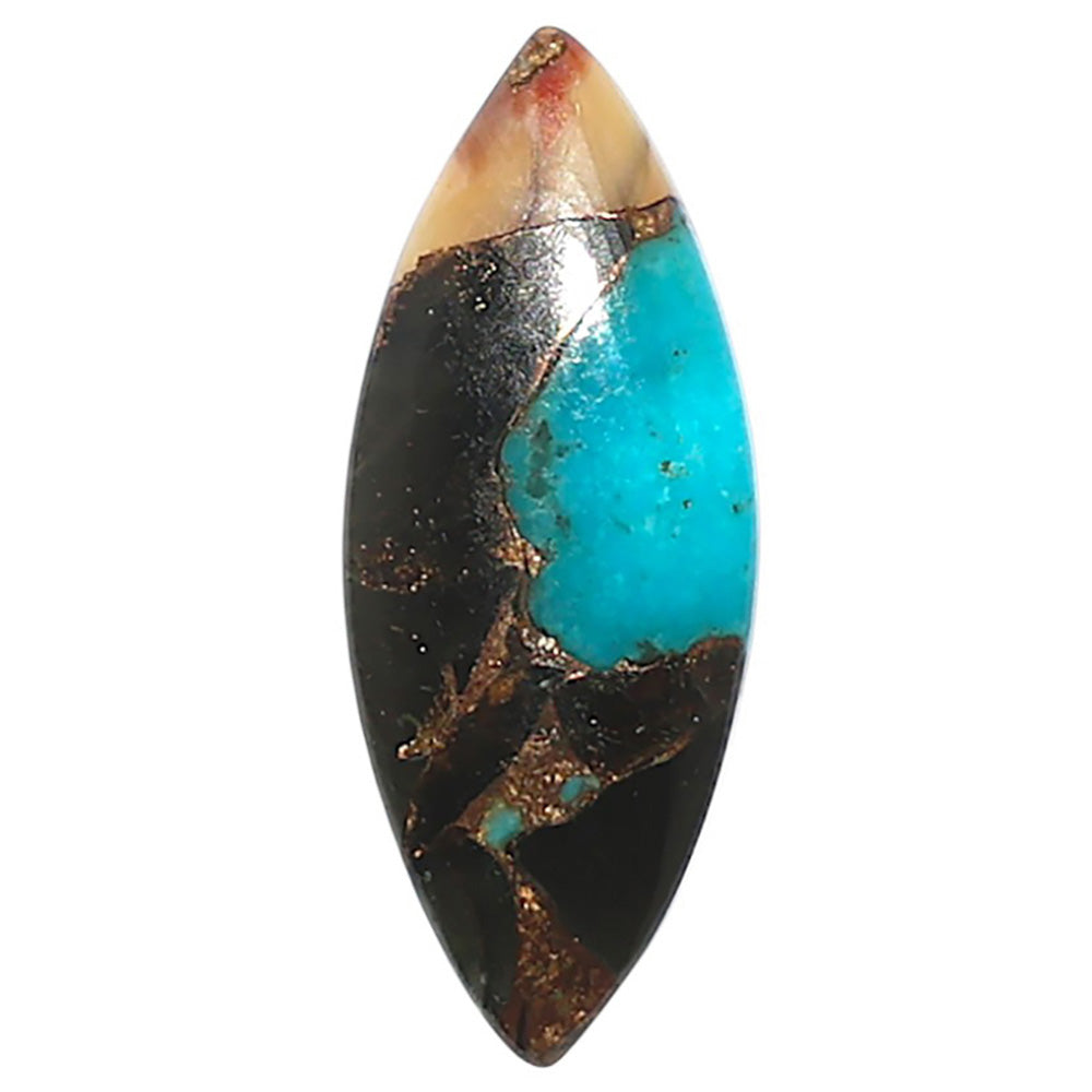 Shell In Black Blue Turquoise 10x24.8x3.5 mm Marquise Shape Polished Gemstone LS155-08508