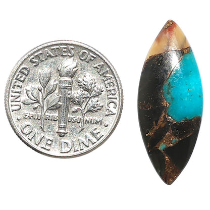Shell In Black Blue Turquoise 10x24.8x3.5 mm Marquise Shape Polished Gemstone LS155-08508