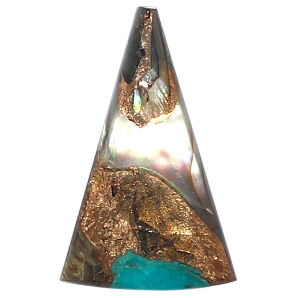 Shell In Black Blue Turquoise 14.2x22.8x3 mm Fancy Shape Polished Gemstone LS155-08509
