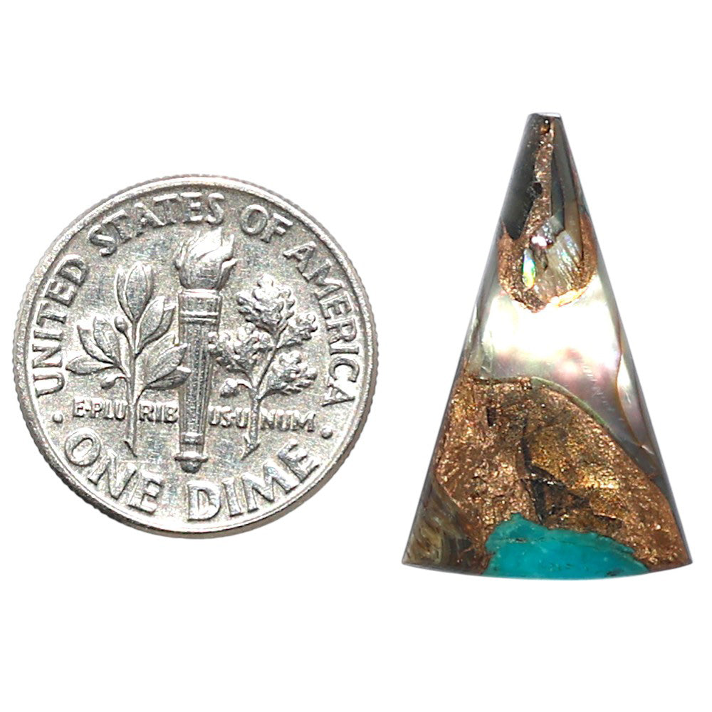 Shell In Black Blue Turquoise 14.2x22.8x3 mm Fancy Shape Polished Gemstone LS155-08509