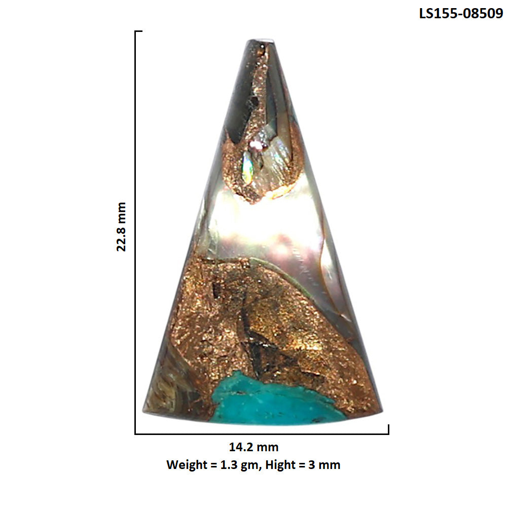 Shell In Black Blue Turquoise 14.2x22.8x3 mm Fancy Shape Polished Gemstone LS155-08509