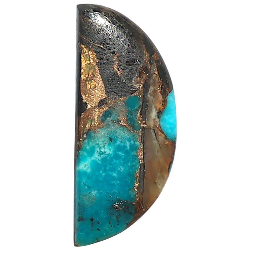 Shell In Black Blue Turquoise 10.7x25.4x3.2 mm Fancy Shape Polished Gemstone LS155-08510