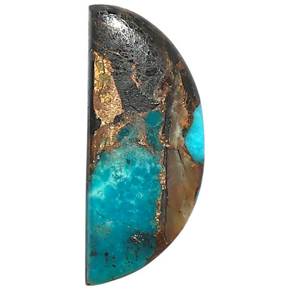 Shell In Black Blue Turquoise 10.7x25.4x3.2 mm Fancy Shape Polished Gemstone LS155-08510