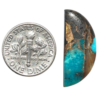 Shell In Black Blue Turquoise 10.7x25.4x3.2 mm Fancy Shape Polished Gemstone LS155-08510