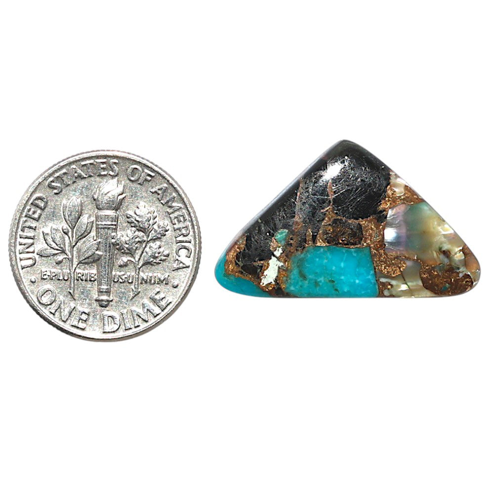 Shell In Black Blue Turquoise 14.7x24.5x3.5 mm Fancy Shape Polished Gemstone LS155-08514