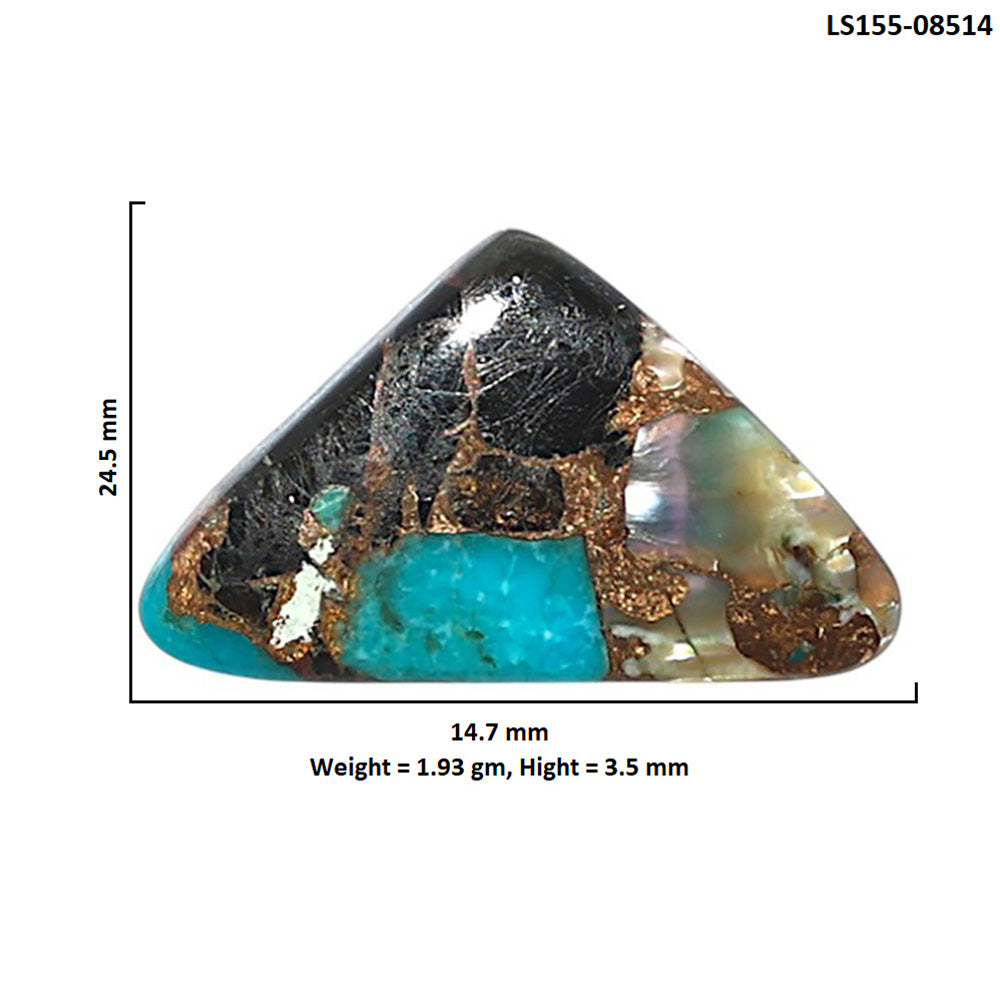 Shell In Black Blue Turquoise 14.7x24.5x3.5 mm Fancy Shape Polished Gemstone LS155-08514