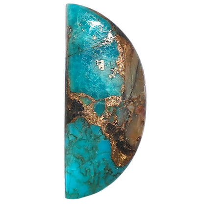 Shell In Black Blue Turquoise 10.6x25.4x3.5 mm Fancy Shape Polished Gemstone LS155-08515