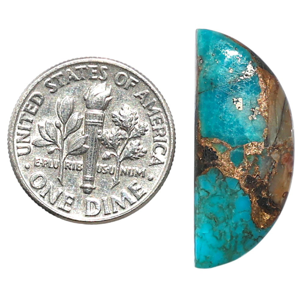 Shell In Black Blue Turquoise 10.6x25.4x3.5 mm Fancy Shape Polished Gemstone LS155-08515