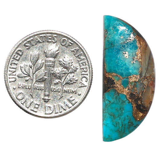 Shell In Black Blue Turquoise 10.6x25.4x3.5 mm Fancy Shape Polished Gemstone LS155-08515