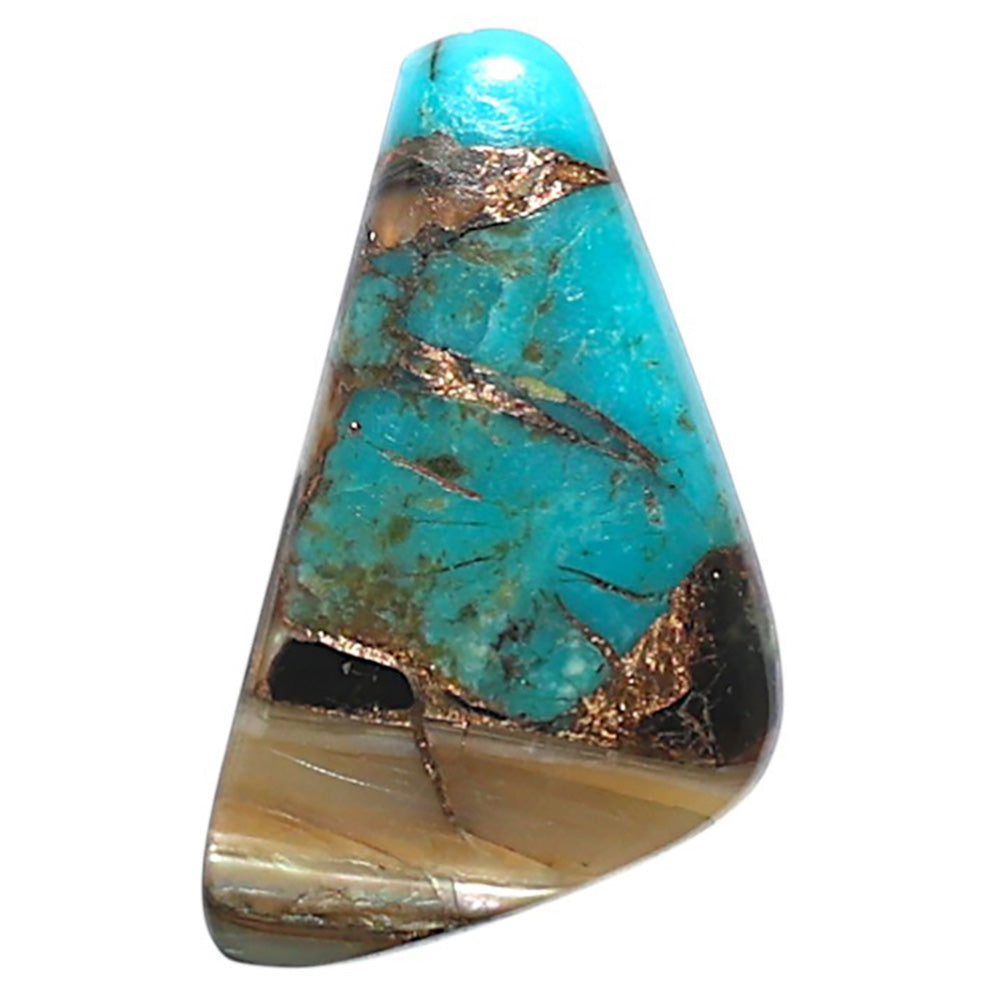 Shell In Black Blue Turquoise 13.3x24.4x3 mm Fancy Shape Polished Gemstone LS155-08516
