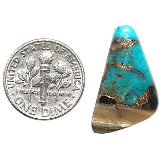 Shell In Black Blue Turquoise 13.3x24.4x3 mm Fancy Shape Polished Gemstone LS155-08516