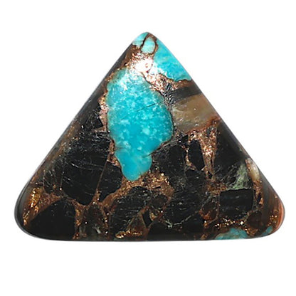 Shell In Black Blue Turquoise 17.8x22.9x3 mm Fancy Shape Polished Gemstone LS155-08517