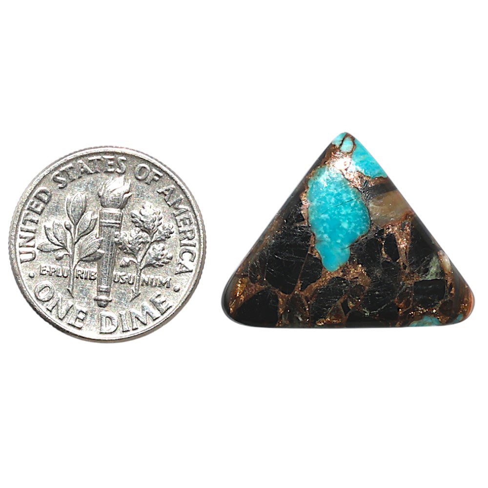 Shell In Black Blue Turquoise 17.8x22.9x3 mm Fancy Shape Polished Gemstone LS155-08517
