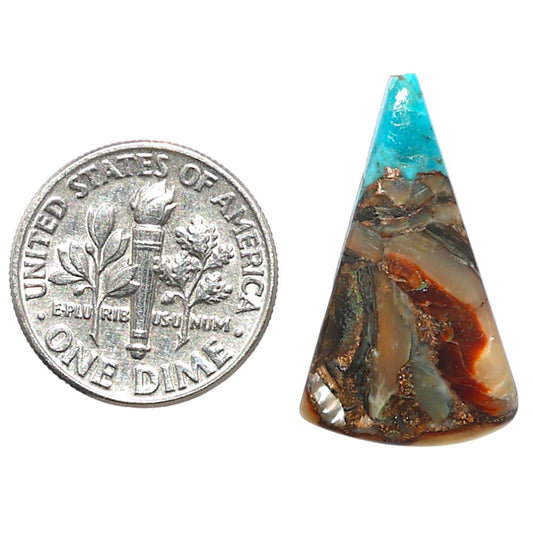 Shell In Black Blue Turquoise 14.5x24.85x3 mm Fancy Shape Polished Gemstone LS155-08518