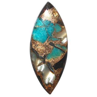 Shell In Black Blue Turquoise 11.5x27.85x3 mm Marquise Shape Polished Gemstone LS155-08519