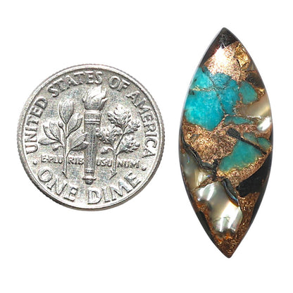 Shell In Black Blue Turquoise 11.5x27.85x3 mm Marquise Shape Polished Gemstone LS155-08519