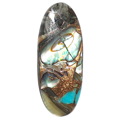 Shell In Black Blue Turquoise 10.7x26.55x2.5 mm Fancy Shape Polished Gemstone LS155-08520