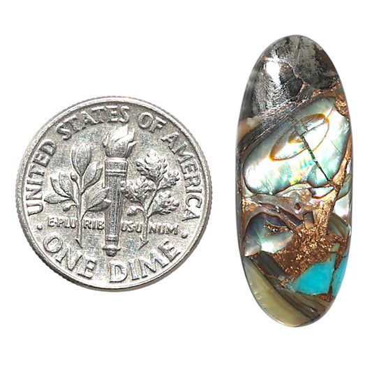 Shell In Black Blue Turquoise 10.7x26.55x2.5 mm Fancy Shape Polished Gemstone LS155-08520