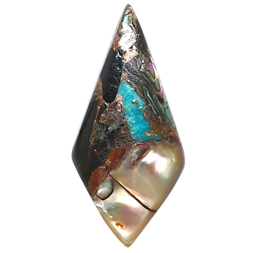 Shell In Black Blue Turquoise 11.9x25.3x3.5 mm Fancy Shape Polished Gemstone LS155-08521