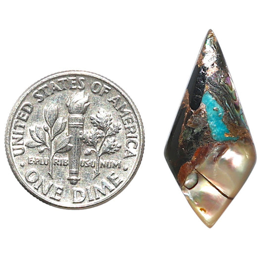Shell In Black Blue Turquoise 11.9x25.3x3.5 mm Fancy Shape Polished Gemstone LS155-08521