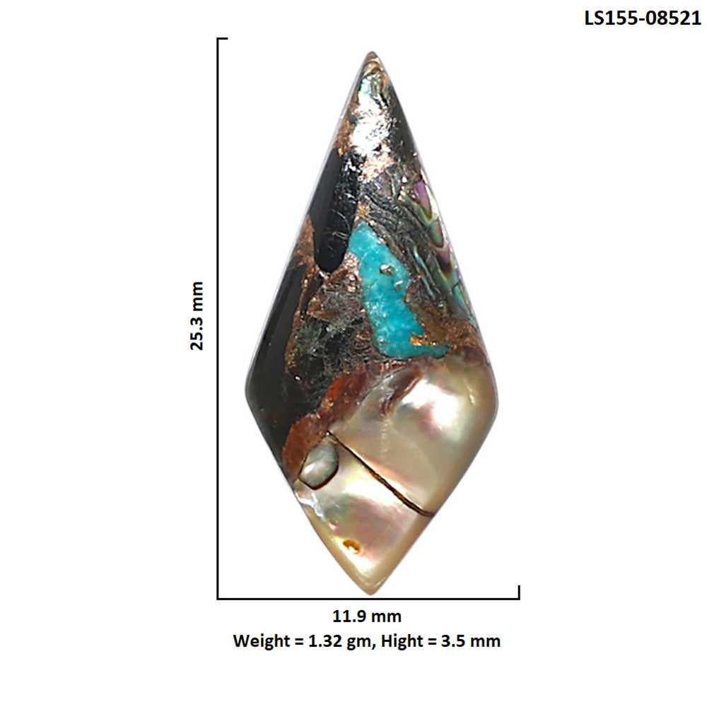 Shell In Black Blue Turquoise 11.9x25.3x3.5 mm Fancy Shape Polished Gemstone LS155-08521