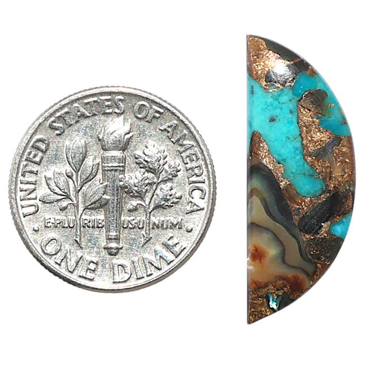 Shell In Black Blue Turquoise 9.5x25x3 mm Fancy Shape Polished Gemstone LS155-08522