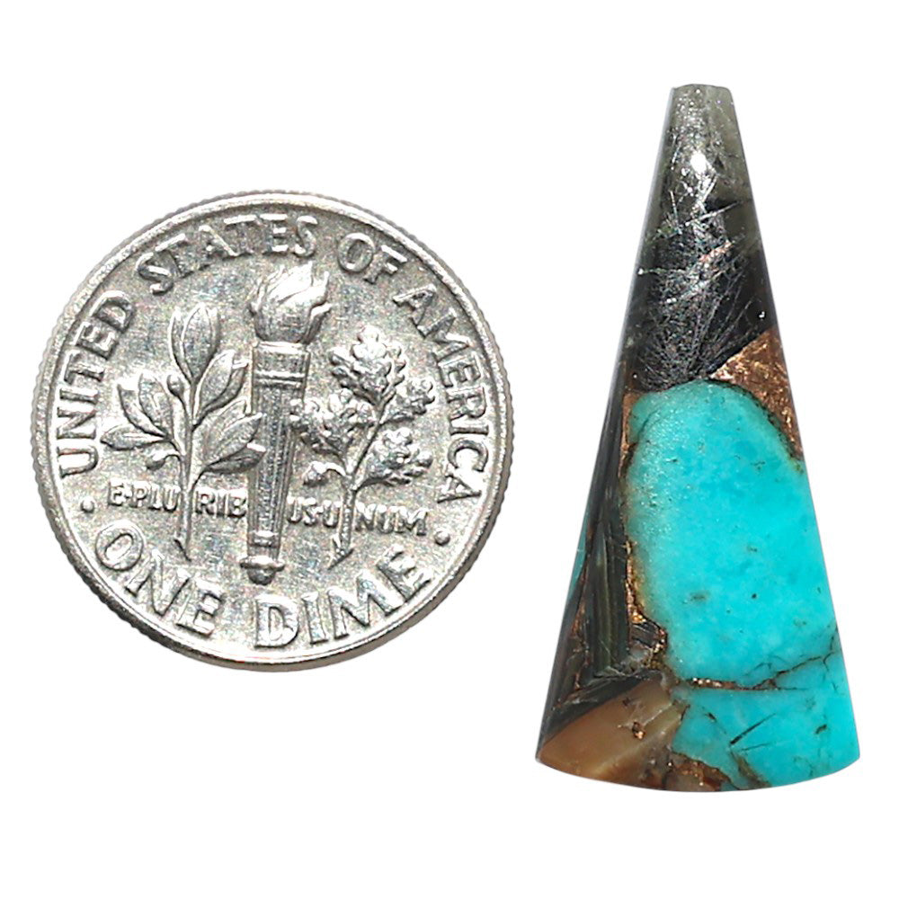 Shell In Black Blue Turquoise 12x26.1x3 mm Fancy Shape Polished Gemstone LS155-08523