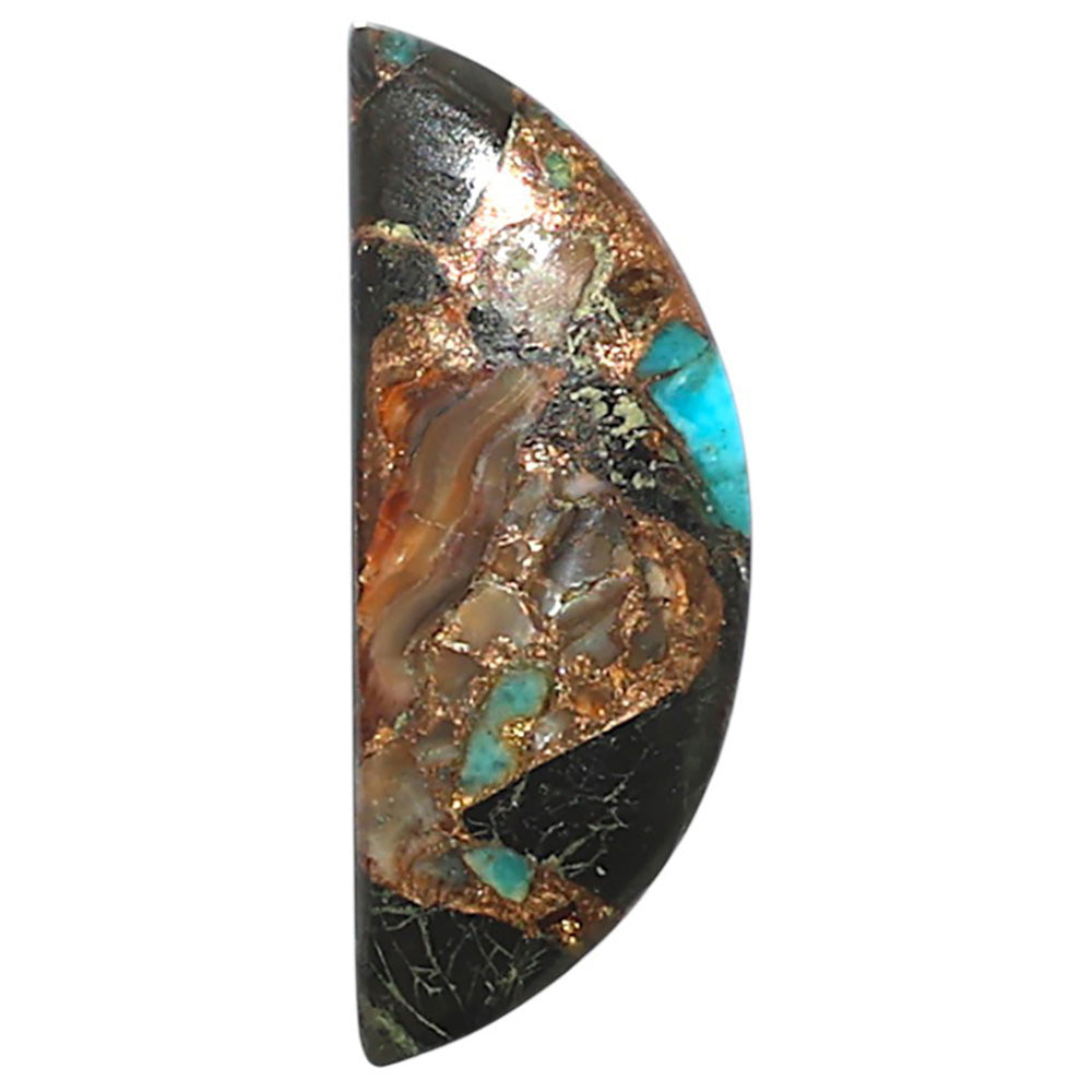 Shell In Black Blue Turquoise 9.5x24.6x3 mm Fancy Shape Polished Gemstone LS155-08524