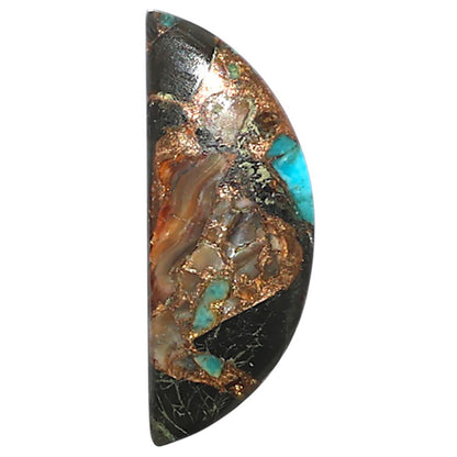 Shell In Black Blue Turquoise 9.5x24.6x3 mm Fancy Shape Polished Gemstone LS155-08524