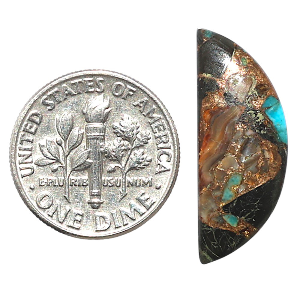 Shell In Black Blue Turquoise 9.5x24.6x3 mm Fancy Shape Polished Gemstone LS155-08524
