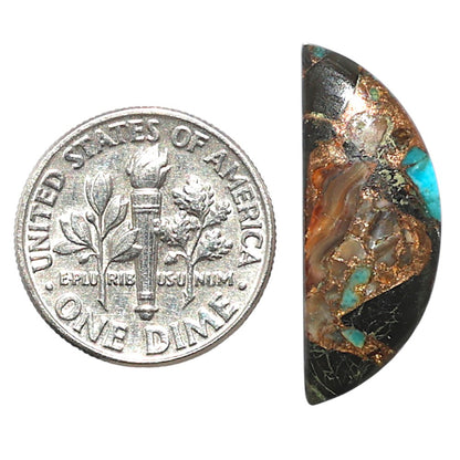 Shell In Black Blue Turquoise 9.5x24.6x3 mm Fancy Shape Polished Gemstone LS155-08524