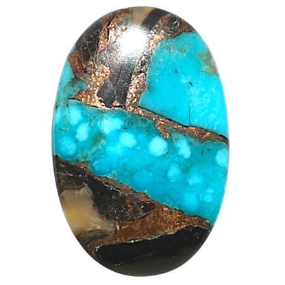Shell In Black Blue Turquoise 13x19.75x2.5 mm Oval Shape Polished Gemstone LS155-08525