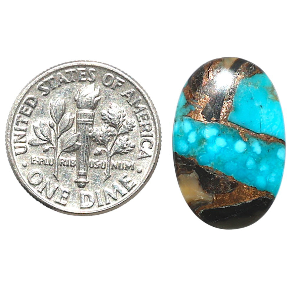 Shell In Black Blue Turquoise 13x19.75x2.5 mm Oval Shape Polished Gemstone LS155-08525