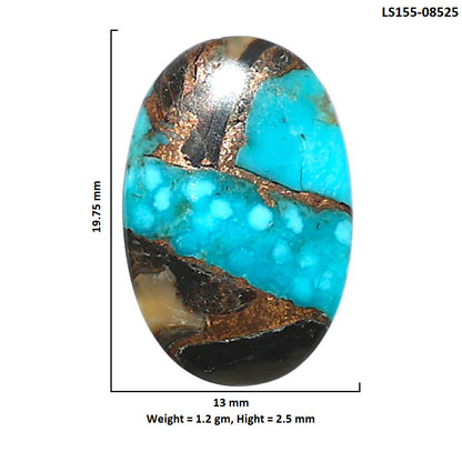 Shell In Black Blue Turquoise 13x19.75x2.5 mm Oval Shape Polished Gemstone LS155-08525