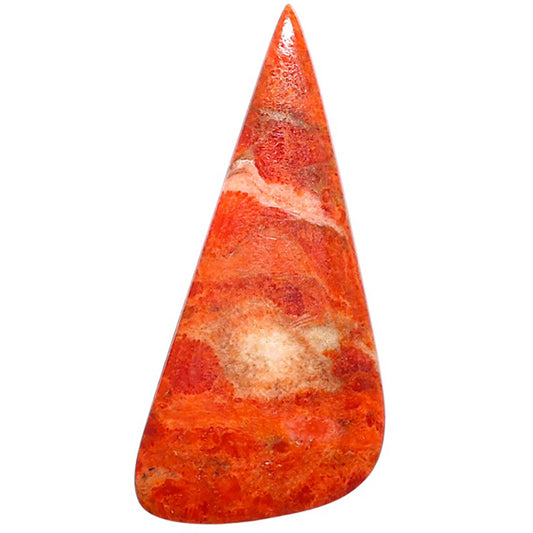 Red Sponge Coral 18.2x41x2.7 mm Fancy Shape Polished Gemstone LS156-09114