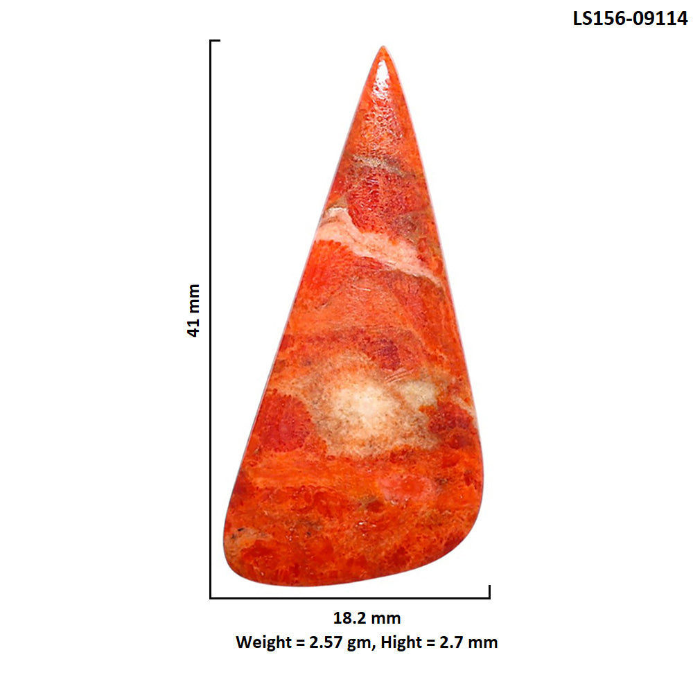 Red Sponge Coral 18.2x41x2.7 mm Fancy Shape Polished Gemstone LS156-09114