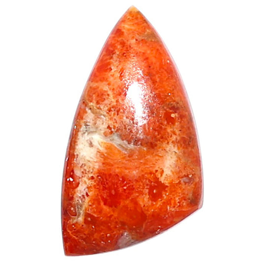 Red Sponge Coral 12.3x22.3x4.4 mm Fancy Shape Polished Gemstone LS156-09115