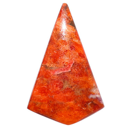 Red Sponge Coral 16x25.35x3 mm Fancy Shape Polished Gemstone LS156-09116