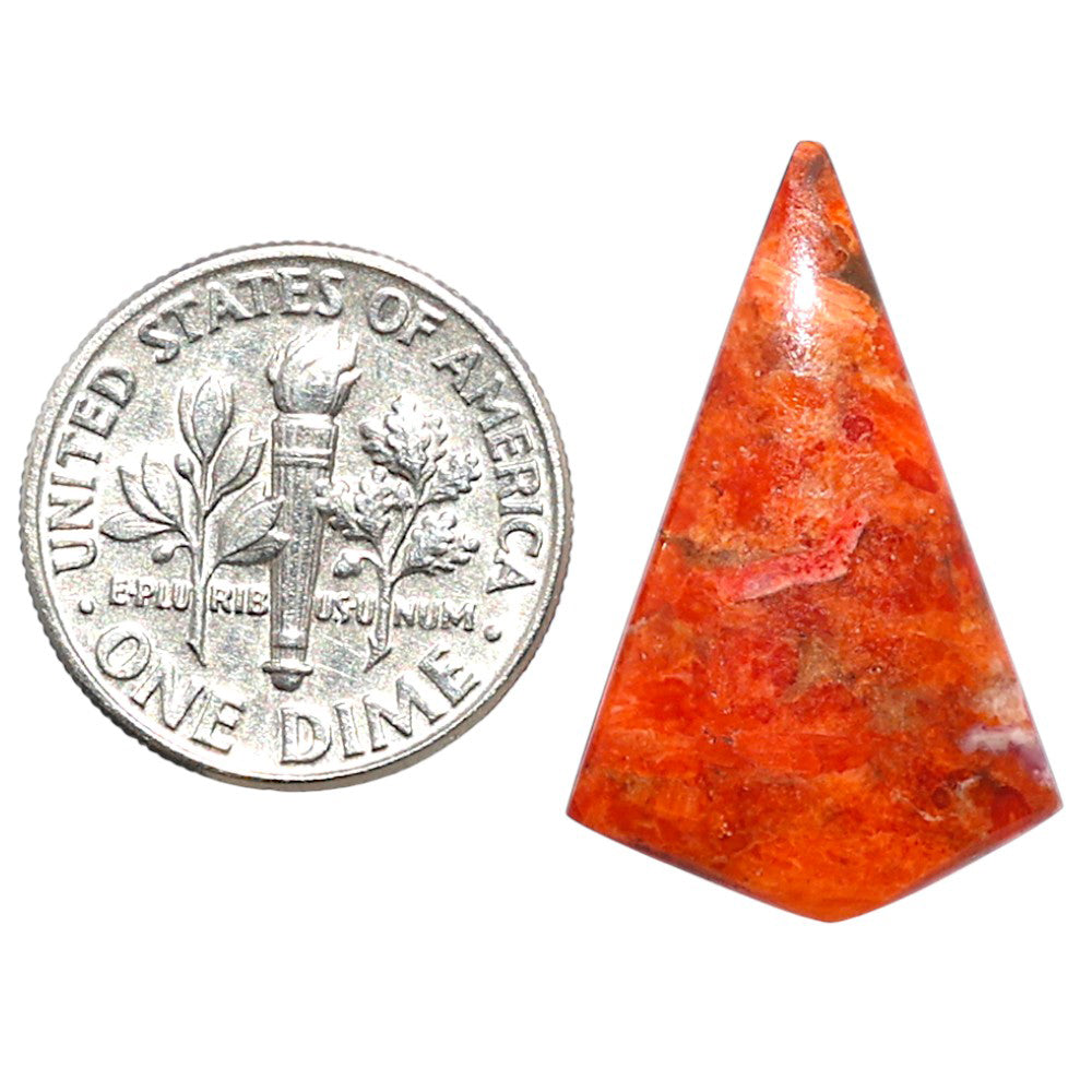Red Sponge Coral 16x25.35x3 mm Fancy Shape Polished Gemstone LS156-09116