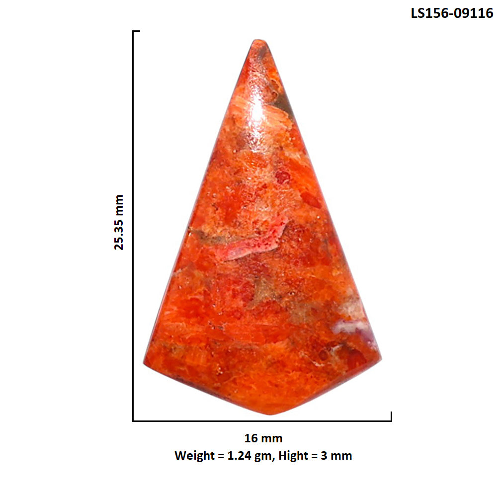 Red Sponge Coral 16x25.35x3 mm Fancy Shape Polished Gemstone LS156-09116