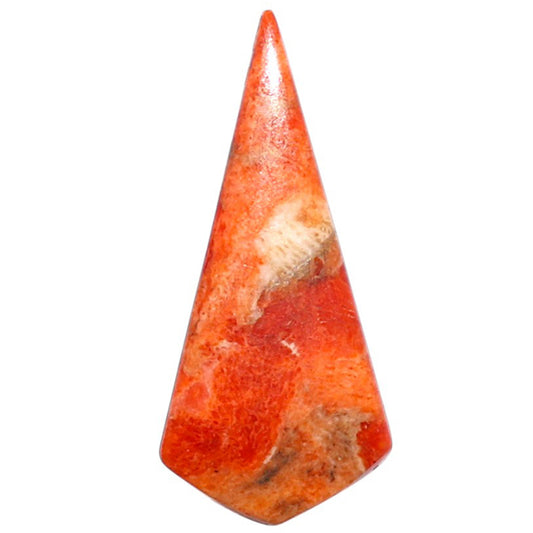 Red Sponge Coral 13.5x30x3 mm Fancy Shape Polished Gemstone LS156-09120