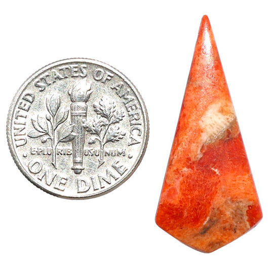 Red Sponge Coral 13.5x30x3 mm Fancy Shape Polished Gemstone LS156-09120