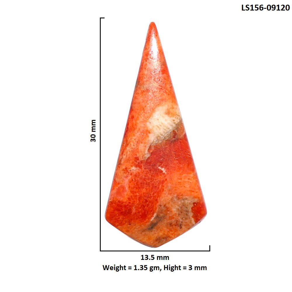 Red Sponge Coral 13.5x30x3 mm Fancy Shape Polished Gemstone LS156-09120